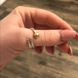 Alex and Ani adjustable two tone ring